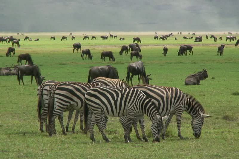 Private Guides Africa - Private Guided Safaris - Africa Private Tours